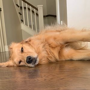 Meet your Posher, Maddie